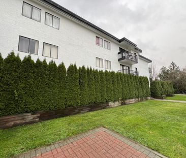 Renaissance On Shaw - Photo 4