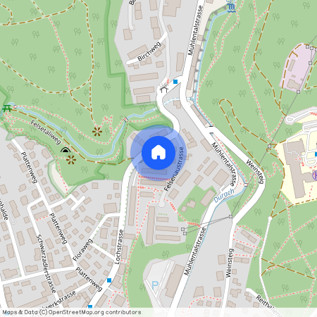 Felsenaustrasse 10, 8200 Schaffhausen