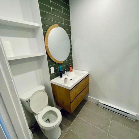 À louer spacieux 4 1/2 Rosemont petite patrie - Photo 4