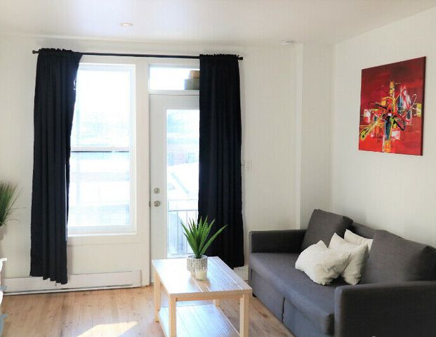 Plateau Mont-Royal – Charmant logement 3 1/2 à louer - Photo 1