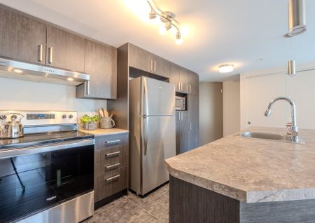 3410 Boul. St-Elzear O., #103 - Photo 5