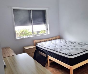 Springfield - Photo 2