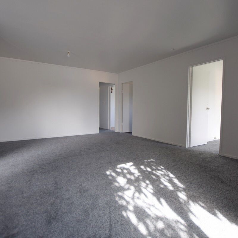 46 Hindmarsh Street - Photo 1
