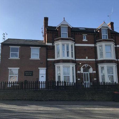 Mixed use to rent - Photo 4