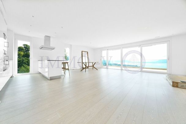 DE STANDING AVEC GRAND BALCON-TERRASSE ET VUE PANORAMIQUE - Photo 1