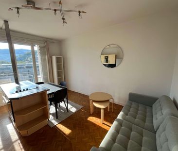 Location Appartement 2 pièces 33m² GRENOBLE 38000 - Photo 1