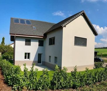 3.5 Zimmer, EG - Foto 4