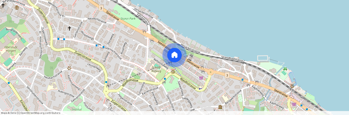 Seestrasse 260, 8810 Horgen, CH