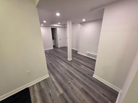 For Lease - 301 Seaview Heights Unit# BSMT, East Gwillimbury, Ontario - Photo 4