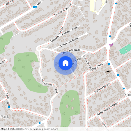 22 Motu Street, Saint Clair, Dunedin