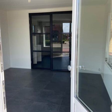 Salomon Levystrjitte - Foto 3