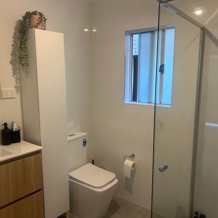 MODERN TWO BEDROOM GRANNY FLAT - Photo 4