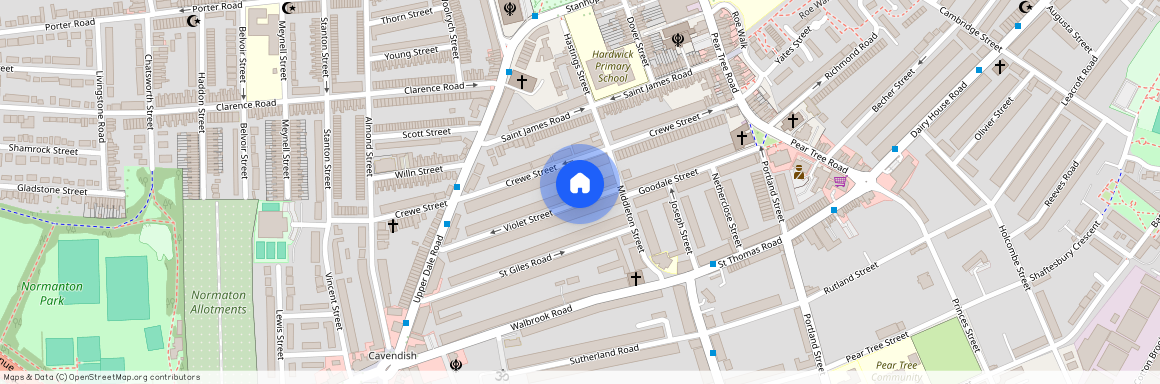 Violet Street, Derby, Derbyshire, DE23 8SN