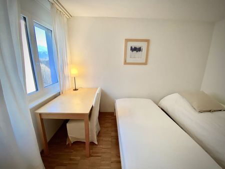 Avenue des Figuiers - Photo 5