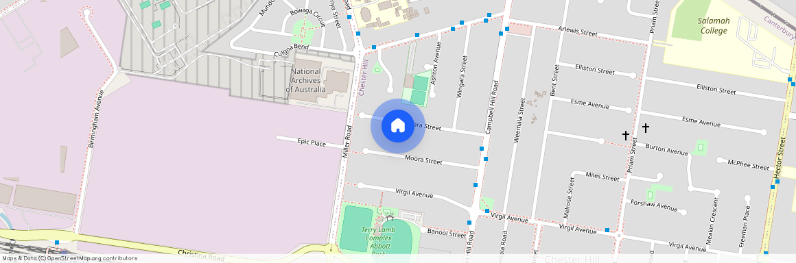 29 Biara Street, NSW 2162, Chester Hill