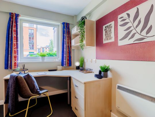 Premium Plus Studio - Photo 1