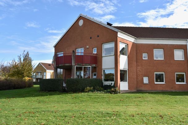 Blågransgatan, Bunkeflostrand - Foto 1