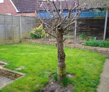 2 bedroom chalet to rent - Photo 4