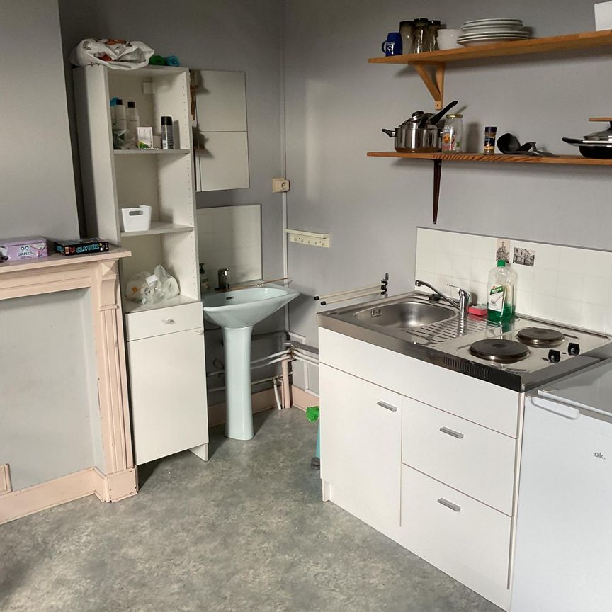 Studentenkamer 18m2 met kitchenette - Maal­te­brug­ge­straat 241 - Foto 1