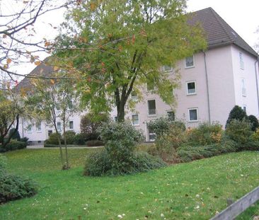 Super Schnitt, das ist der Hit! - Foto 2