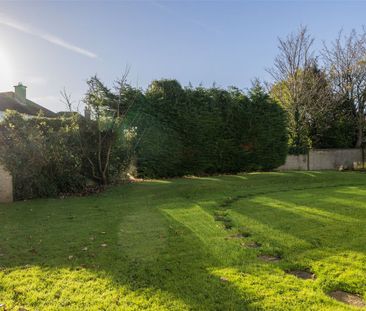 Apt 1 Newtown Court, Eaton Brae, Orwell Road, Rathgar - D14, Dublin 14 - Photo 3