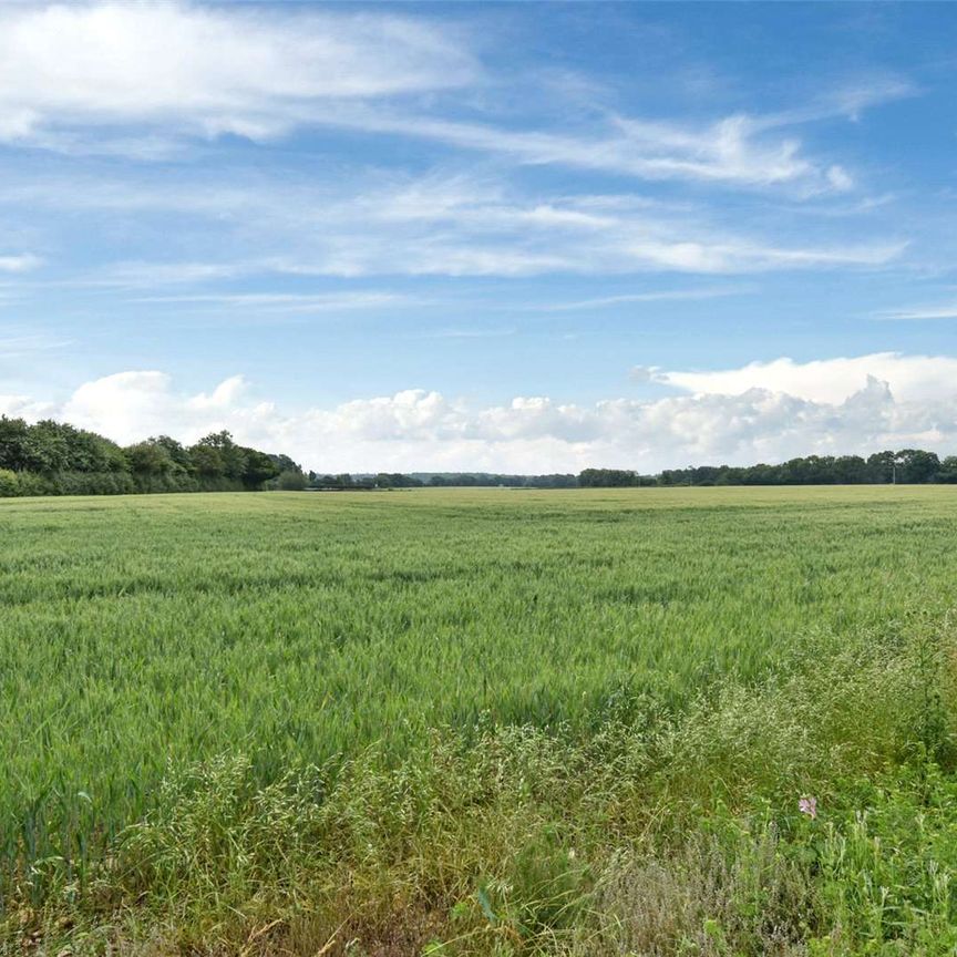 Lovely cottage with views over open fields - Photo 1