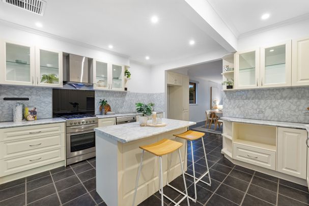 Family Entertainer on a Huge Block - Photo 1