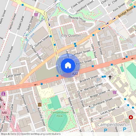 13 Layton St, Camperdown, Sydney, New South Wales 2050