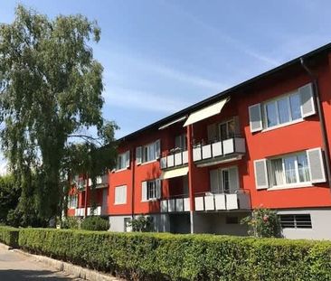 3 Zimmer, 54 m², EG - Foto 4