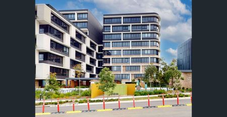 Contemporary 2-Bedroom Apartment with Winter Garden in Melrose Park Village - Photo 4