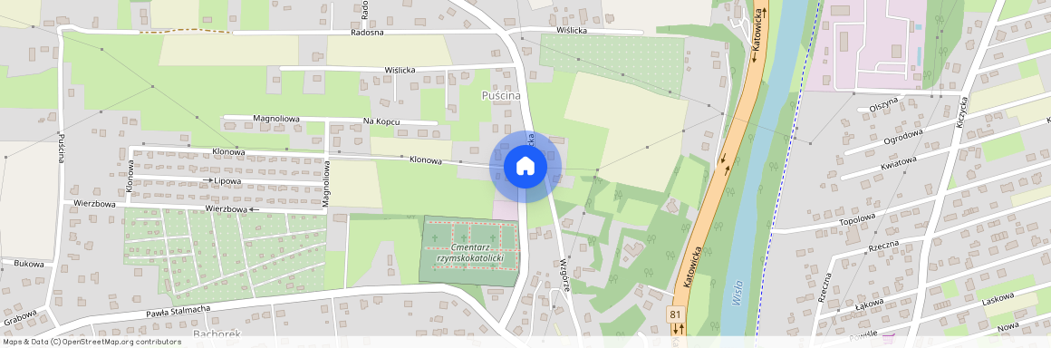 ul. Wiślicka, Skoczów, Skoczów, cieszyński, śląskie