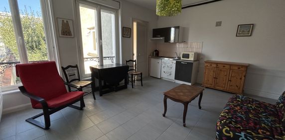 Location Appartement 1 pièce 26m² REIMS 51100 - Photo 2