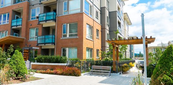 Hawthorne at Timber Court - Photo 2