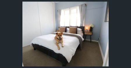 Family, Pet Friendly Home - Photo 4