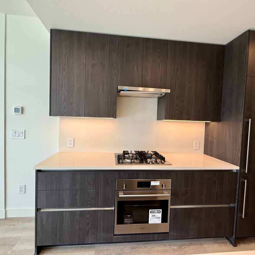 Brand New 1 Bdrm facing South w/ Lakeview at Water St by the Park - Photo 1