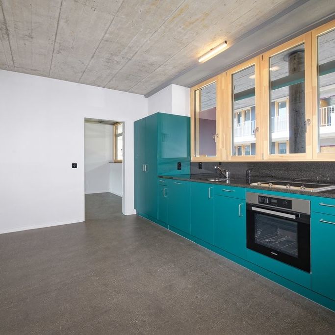 Rent a 2 rooms apartment in Schlieren - Photo 1