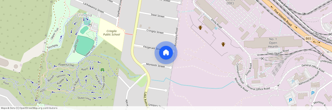 9 Fitzgerald St, NSW 2502, Cringila