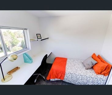 208/1728 Dandenong Road, Clayton, Vic 3168 - Photo 6