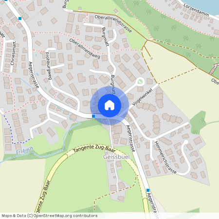 Burgmatt 1, 6340 Baar