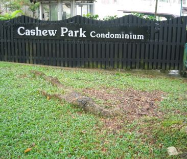 Cashew Park Condominium (D23), Condominium - For Rent - Photo 5