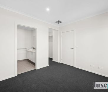 Available Now! - Photo 5