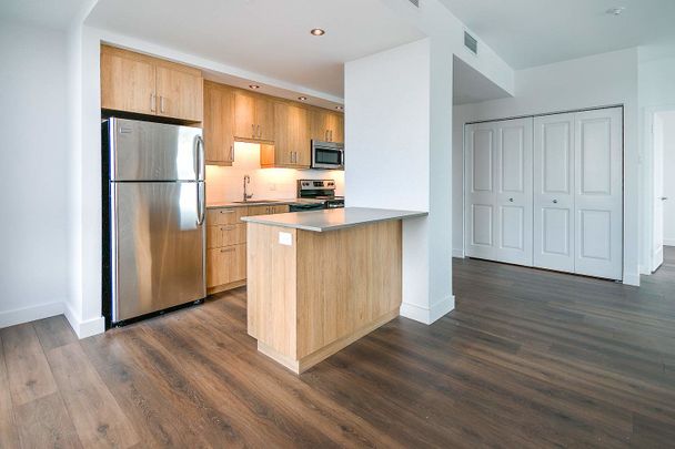 7407 rue Mountain-Sights, Montréal, QC - Photo 1