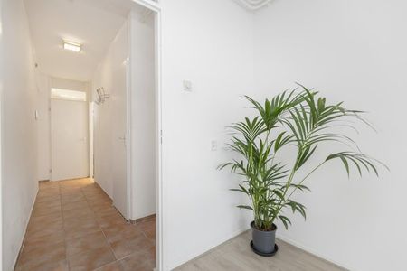 Te huur: Appartement Roetersstraat in Amsterdam - Foto 2