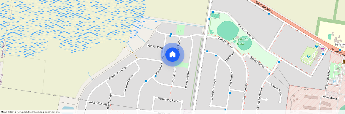 9 Protea Place, Forest Hill NSW 2651