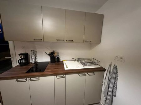 Studio Chamagnieu avec jardinet - Photo 3