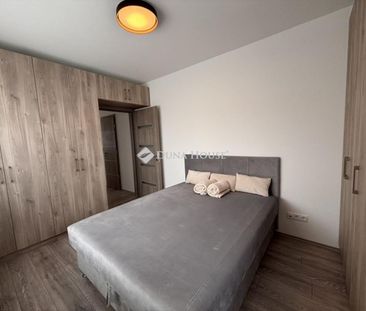 Kiadó új építésű lakás - Kecskemét - Photo 4
