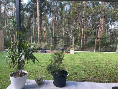 Albany Creek - Photo 3