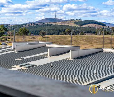 36/14 Hoolihan Street, Denman Prospect ACT 2611 - Apartment For Ren... - Photo 4