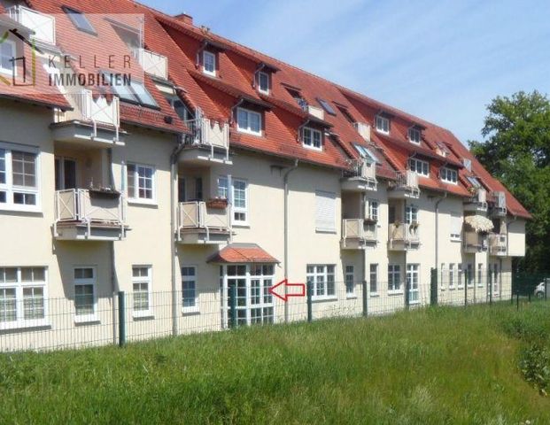 Barrierefreie EG-Whg. - Umbau 2019 ! Tolle 2-R-EG-Whg. mit GLASERKER, ruhige grüne Wohnlage - Photo 1