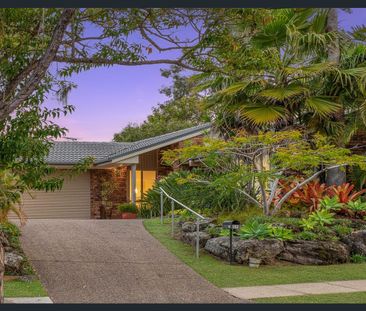 Renovated Family Home with Elevated Privacy and Lush Garden Living - Photo 4